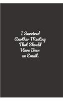 I Survived Another Meeting That Should Have Been An Email.