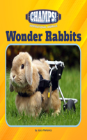 Wonder Rabbits: (21st Century Junior Library: Champs! Inspirational Animals)