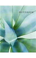 Notebook: Unlined/Plain Notebook - Large (8.5 x 11 inches) - 120 Pages