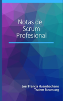 Notas de Scrum Profesional