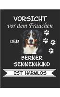 Vorsicht vor dem Frauchen der Berner Sennenhund ist Harmlos
