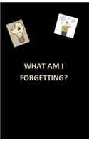 What Am I Forgetting?