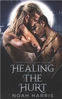 Healing the Hurt: A Dark Fated Mates Gay Romance
