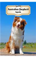 2020 Australian Shepherd Agenda