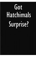 Got Hatchimals Surprise?