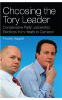 Choosing the Tory Leader