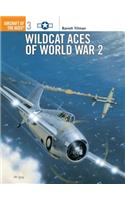 Wildcat Aces of World War 2