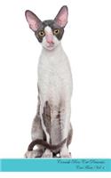 Cornish Rex Cat Presents: Cat Facts Workbook. Cornish Rex Cat Presents Cat Facts Workbook with Self Therapy, Journalling, Productivity Tracker with Self Therapy, Journalling,