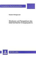 Strukturen Und Perspektiven Des Oesterreichischen Energiesystems: Eine Quantitative Analyse Mit Strategien Zur Co 2-Reduktion(1349 Europaeische Hochschulschriften / European University Studie)