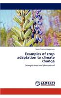 Examples of Crop Adaptation to Climate Change