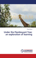 Under the Flamboyant Tree: an exploration of learning