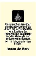 Untersuchungen über die Brandpilze und die durch sie verursachten Krankheiten der Pflanzen mit Rücksicht auf das Getreide und andere Nutzpflanzen.