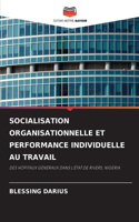 Socialisation Organisationnelle Et Performance Individuelle Au Travail