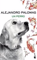 Un perro