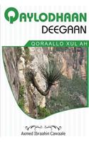 Qaylodhaan Deegaan