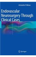 Endovascular Neurosurgery Through Clinical Cases