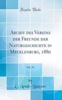 Archiv Des Vereins Der Freunde Der Naturgeschichte in Mecklenburg, 1880, Vol. 34 (Classic Reprint)