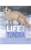 Life in the Tundra