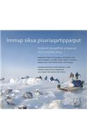 Immap Sikua Pisariaqartipparput (the Meaning of Ice) Greenlandic Edition