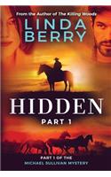 Hidden Part One