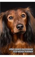 Long-Haired Dachshund 2020 Weekly Planner