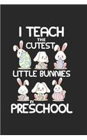 I Teach the Cutest Little Bunnies in Preschool
