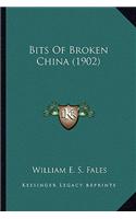 Bits of Broken China (1902)