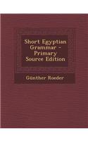 Short Egyptian Grammar - Primary Source Edition