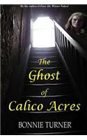 The Ghost of Calico Acres