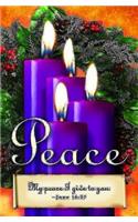 Advent Sunday 4 Purple Bulletin (Pkg of 50)