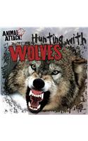 Hunting with Wolves
