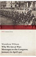 Why We Are at War: Messages to the Congress, January to April 1917 (Wwi Centenary Series)