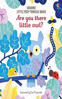 Are you there little Owl?