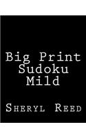 Big Print Sudoku Mild: Large Grid Sudoku Puzzles
