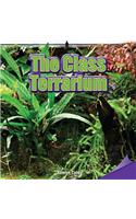 The Class Terrarium