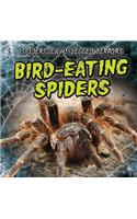 Bird-Eating Spiders