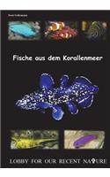 Fische Aus Dem Korallenmeer: Haltung, Habitate, Biologie Und Anderes Aus Dem Meer