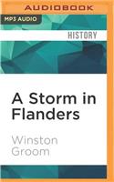 Storm in Flanders