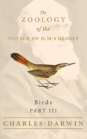 Birds - Part III - The Zoology of the Voyage of H.M.S Beagle