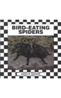 Spiders Set 1