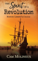 Spirit of a Revolution