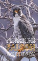 Peregrine falcon Sketchbook Large blank sketchbook for drawing 8.5 x 11 inch (21.59 x 27.94 cm) 150 pages