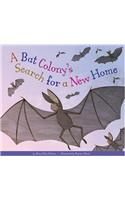 A Bat Colony's Search for a New Home