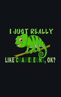 I Just Really Like Chameleon, Ok?