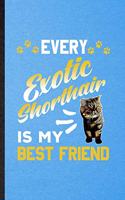 Every Exotic Shorthair Is My Best Friend