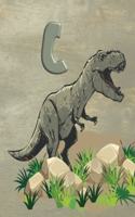 C: Personalized Monogram Initial Notebook/Journal(3 Dinosaur Notebook)