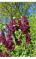 Common Lilac in a Meadow Journal: Take Notes, Write Down Memories in this 150 Page Lined Journal