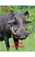 Warthog Sketchbook