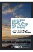 A Brief Bible History; A Survey of the Old and New Testaments