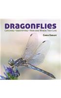 Dragonflies: Catching - Identifying - How and Where They Live